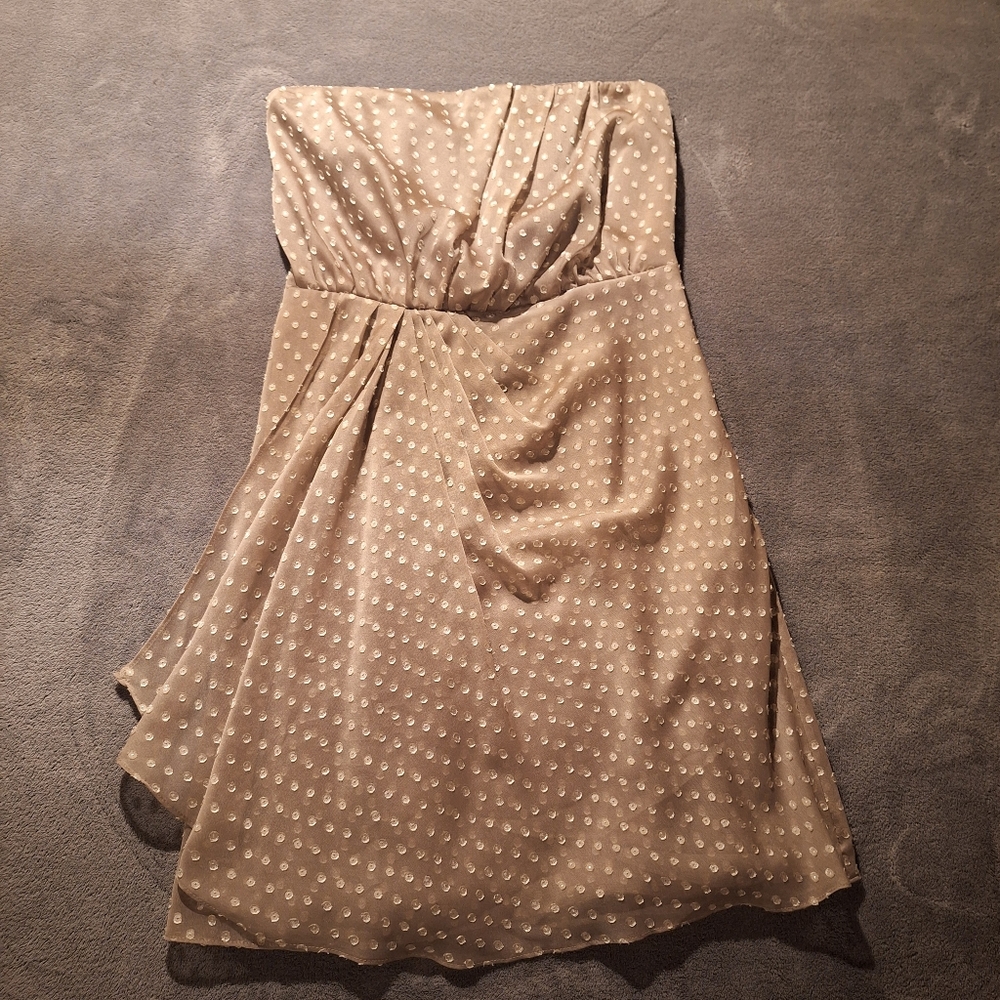 Express Dress 8 Strapless Chiffon Swiss Dot Cinched Champagne Empire Waist